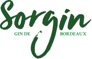 Sorgin